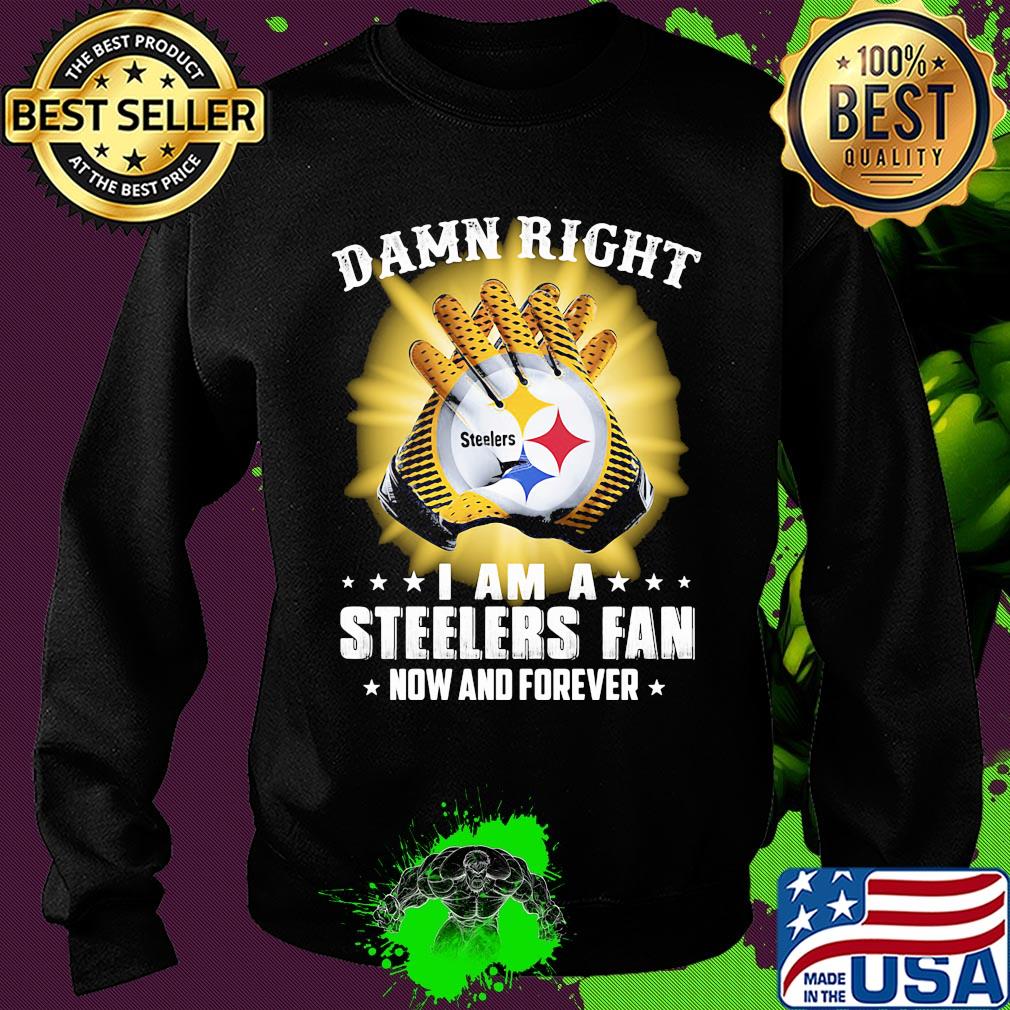 Damn right i am a steelers fan now and forever stars s Sweater Damn right i am a steelers fan now and forever stars s Sweater