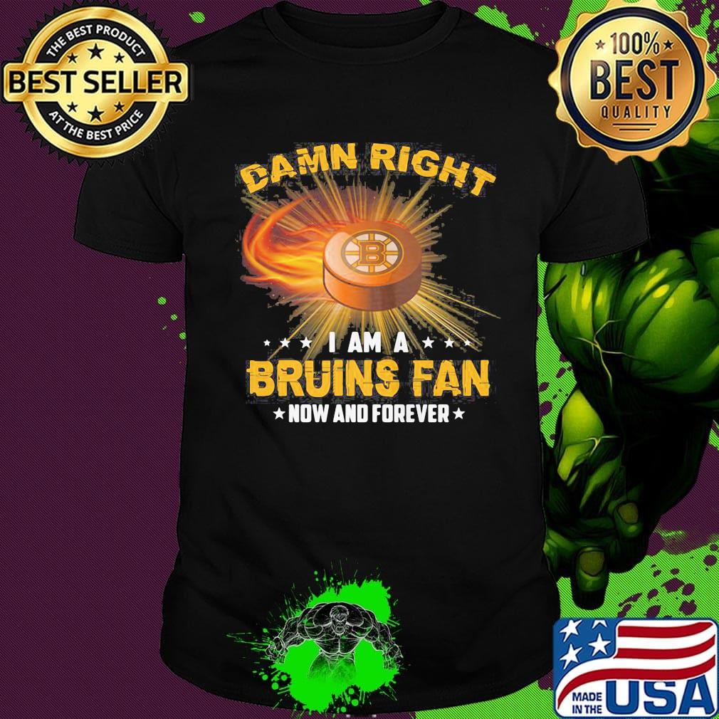 Damn right i am a boston bruins fan now and forever stars shirt