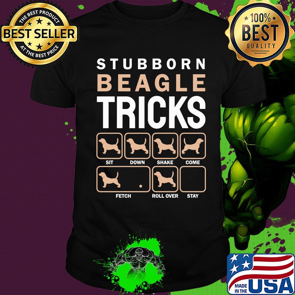 Stubborn beagle tricks sit down share come fetch roll over stay shirt