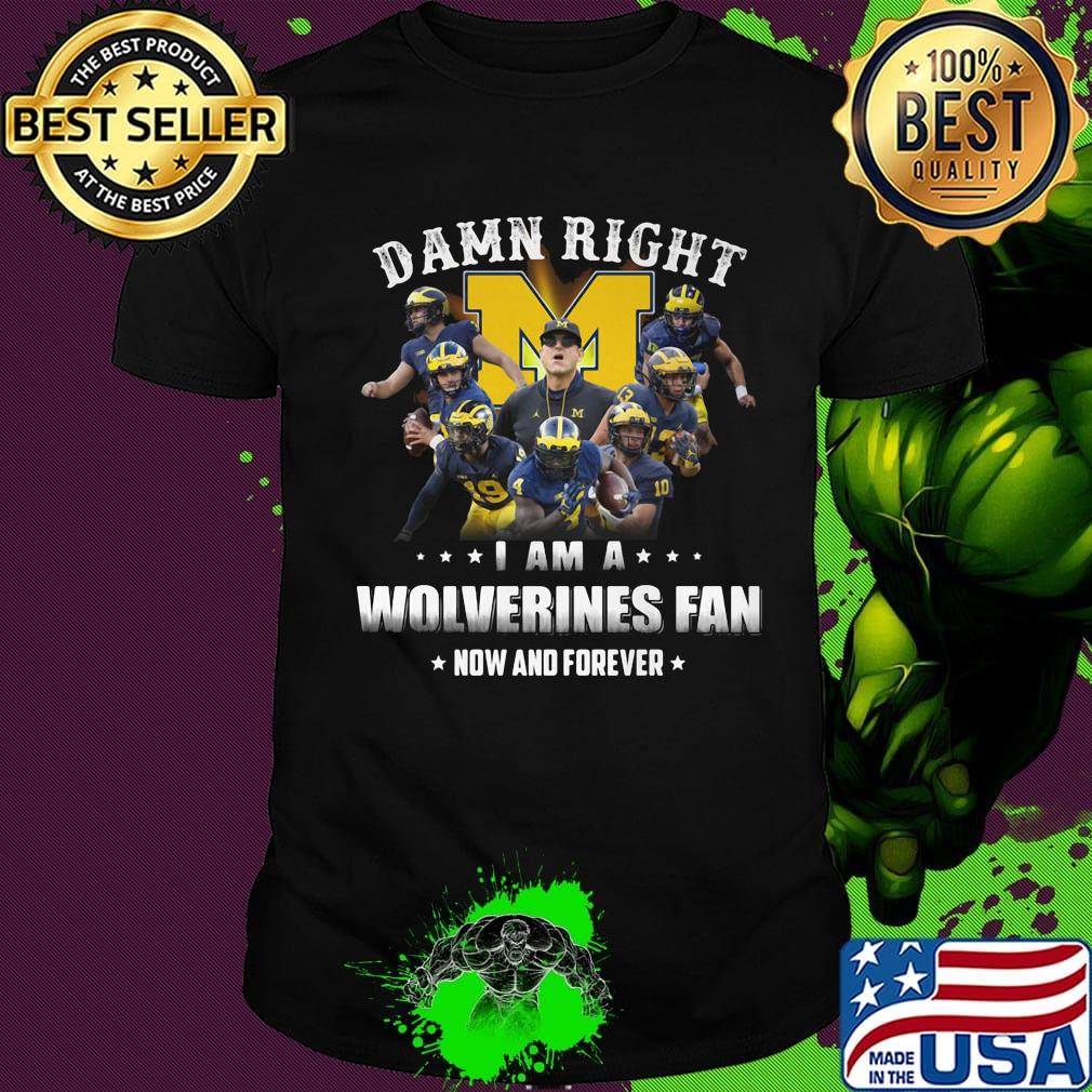Damn right i am a wolverines fan now and forever stars shirt