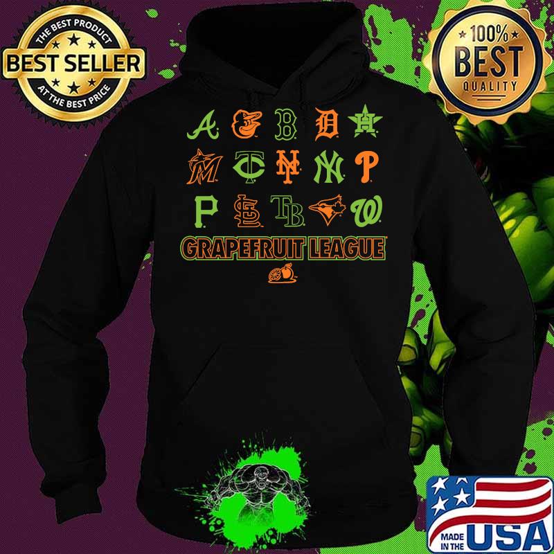 2020 spring training grapefruit league s Hoodie 2020 spring training grapefruit league s Hoodie