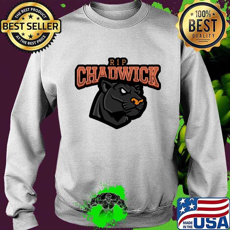 Black panther rip Chadwick Boseman s Sweater Black panther rip Chadwick Boseman s Sweater