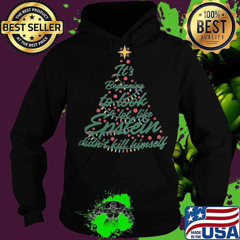 Christmas tree it's beginning to look a lot like epstein didn't kill himself s Hoodie Christmas tree it's beginning to look a lot like epstein didn't kill himself s Hoodie
