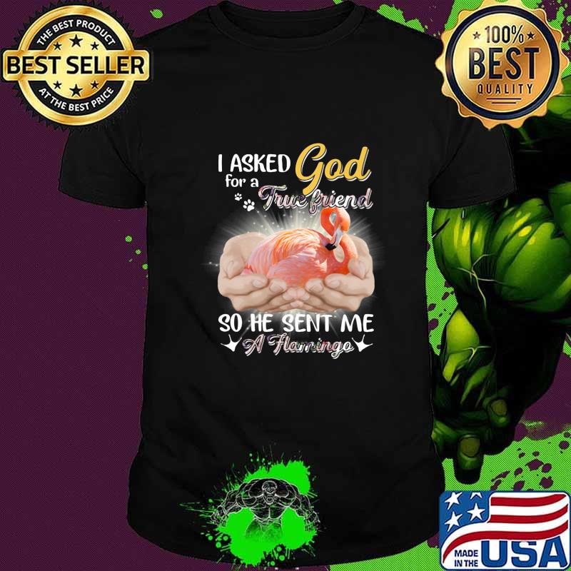 I asked god for a true friend so he sent me a flamingo shirt