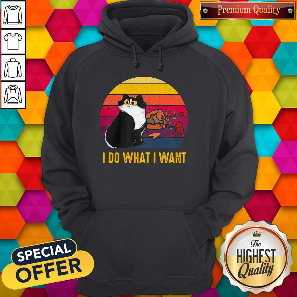 Nice Cat Broke Vase I Do What I Want Vintage Retro Shirt