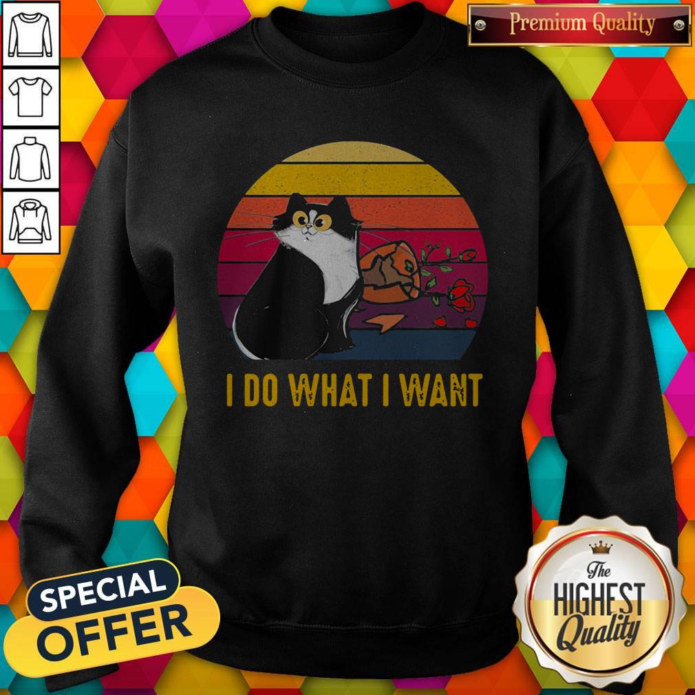 Nice Cat Broke Vase I Do What I Want Vintage Retro Shirt