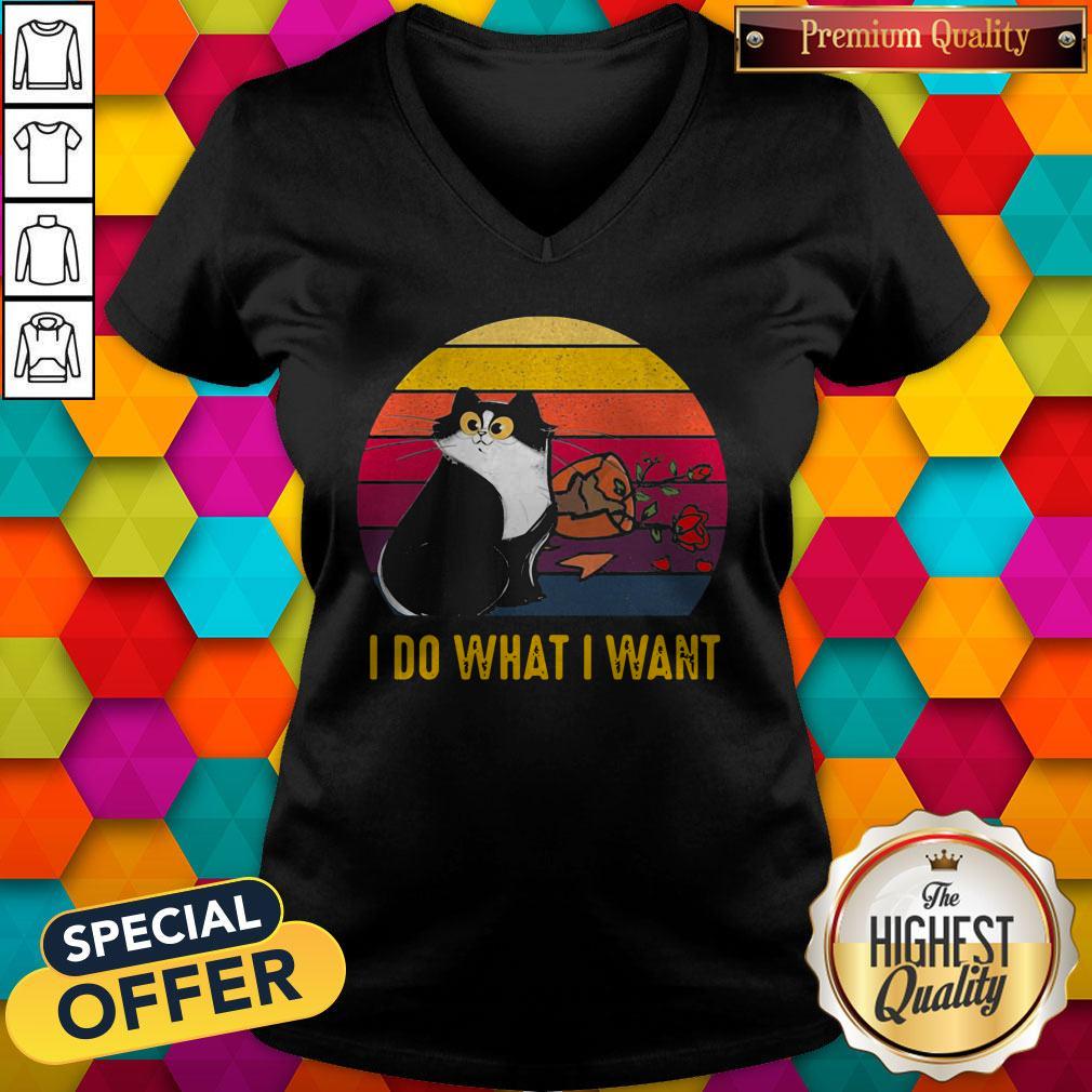 Nice Cat Broke Vase I Do What I Want Vintage Retro Shirt