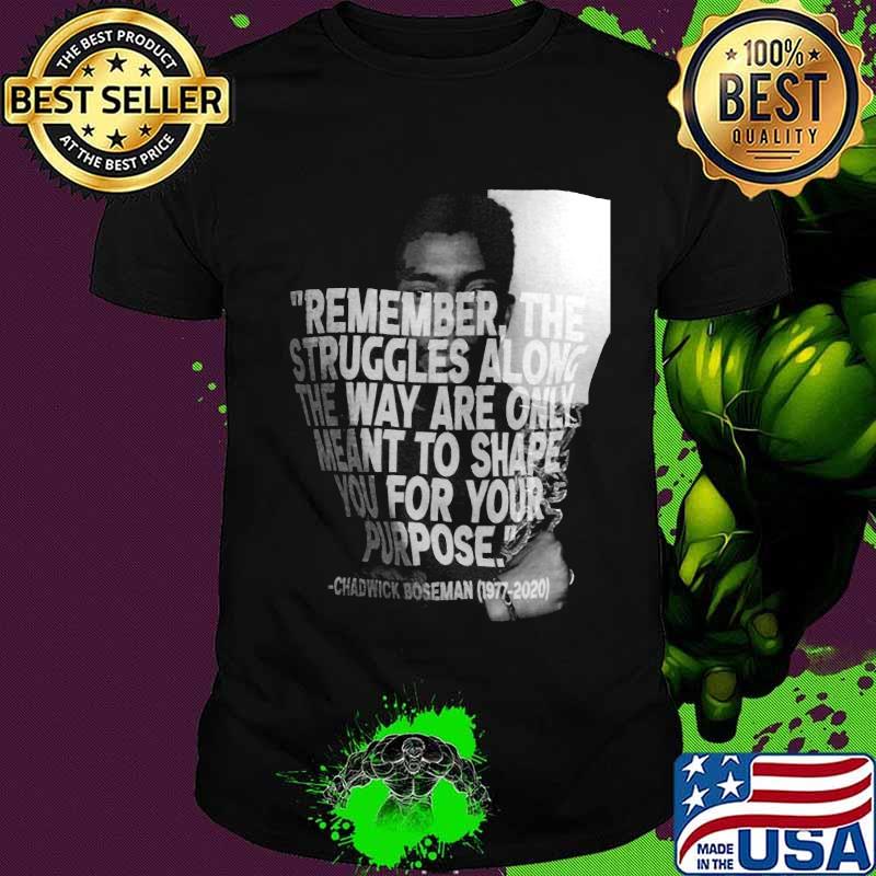 Remember the struggles along the way are only meant to shape you for your purpose black panther rip chadwick 1976 2020 picture shirt