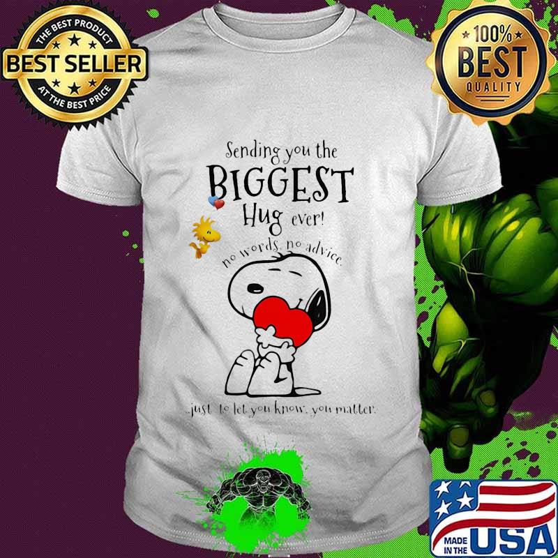 Woodstock and snoopy hug heart sending you the biggest hug ever no words no advice just to let you know you matter shirt