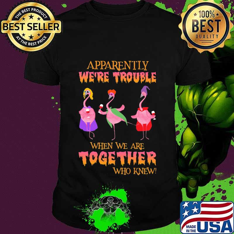 Apparently We're Trouble When We Are Together Who Knew Wine Flamingo Witch Halloween Shirt