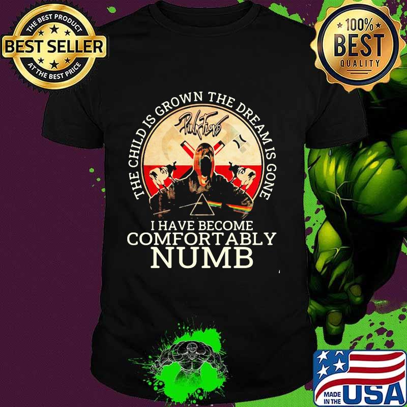 Pink floyd band the child is grown the dream is gone and i have become comfortably numb satan shirt