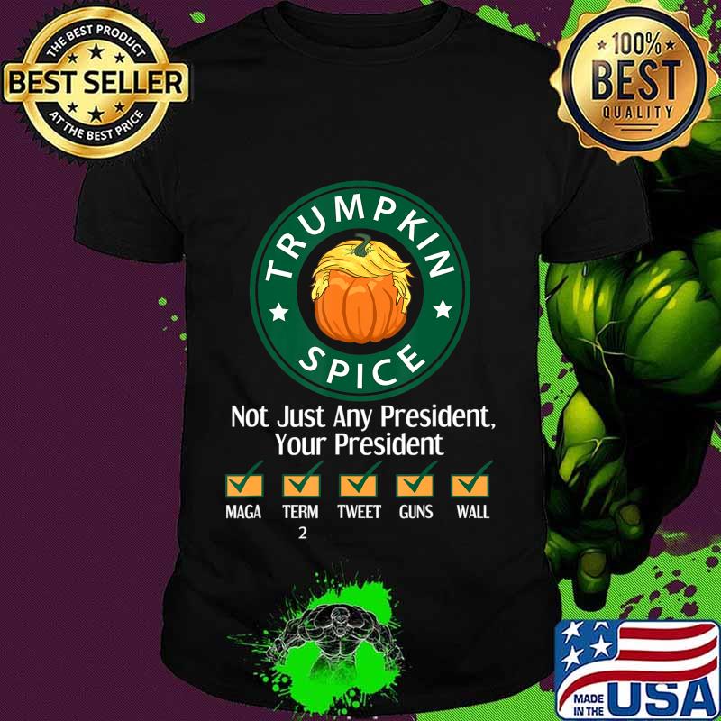 Trumpkin Spice Your President Term 2 Election Graphic T-Shirt