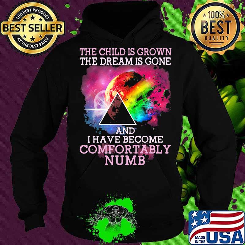 The Child Is Grown The Dream Is Gone I Have Become Comfortably Numb Pink Floyd Moon Lgbt Shirt Hoodie The Child Is Grown The Dream Is Gone I Have Become Comfortably Numb Pink Floyd Moon Lgbt Shirt Hoodie