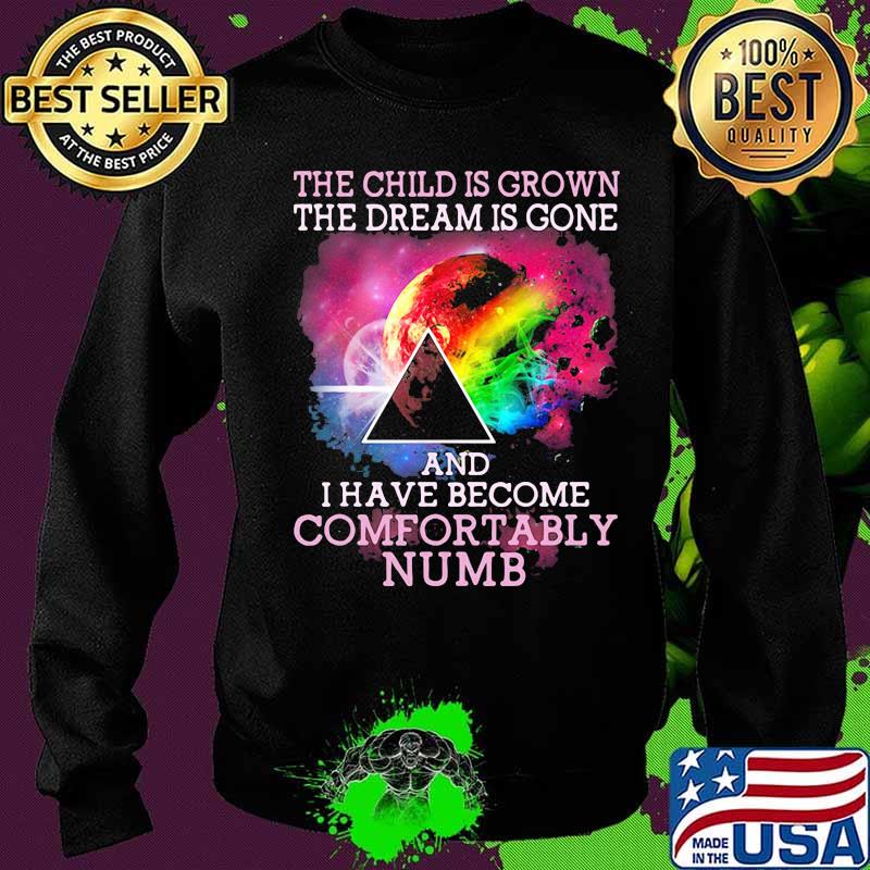 The Child Is Grown The Dream Is Gone I Have Become Comfortably Numb Pink Floyd Moon Lgbt Shirt Sweater The Child Is Grown The Dream Is Gone I Have Become Comfortably Numb Pink Floyd Moon Lgbt Shirt Sweater