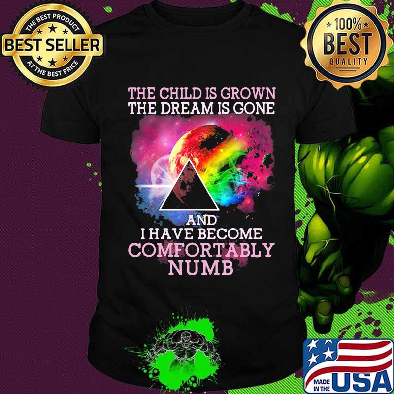 The Child Is Grown The Dream Is Gone I Have Become Comfortably Numb Pink Floyd Moon Lgbt Shirt