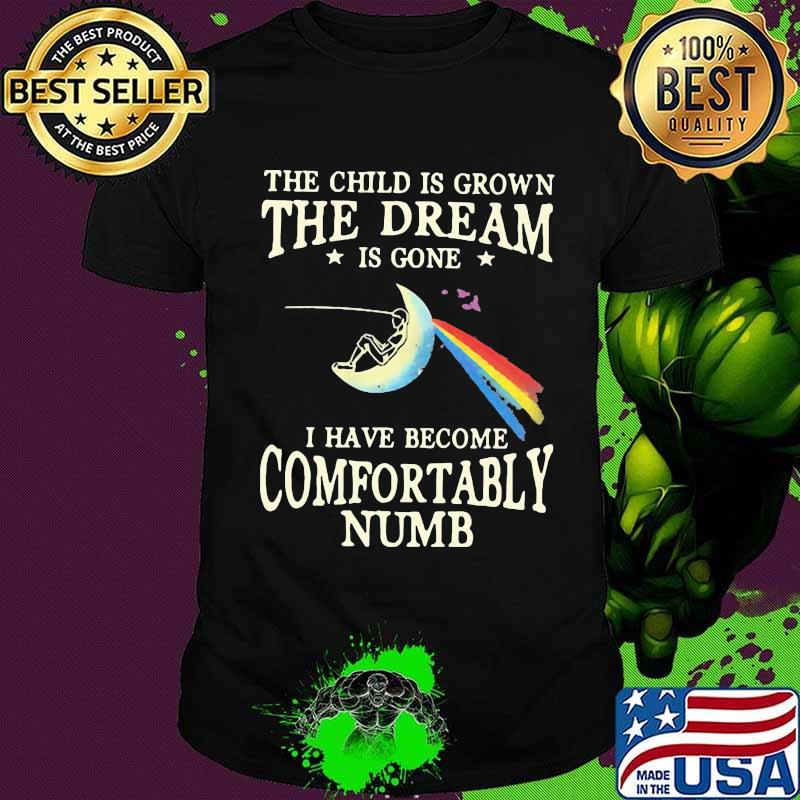 The child is grown the dream is gone i have become comfortably numb pink floyd shirt