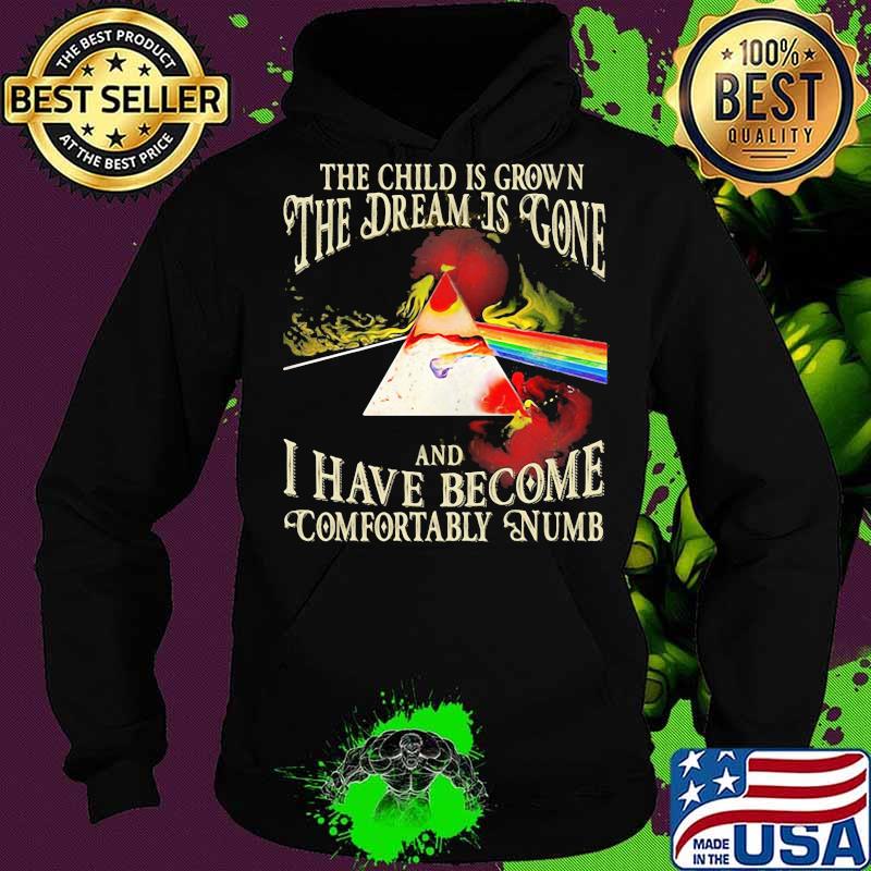The Wall The The Child Is Grown The Dream Is Gone I Have Become Comfortably Numb Pink Floyd Shirt Hoodie The Wall The The Child Is Grown The Dream Is Gone I Have Become Comfortably Numb Pink Floyd Shirt Hoodie