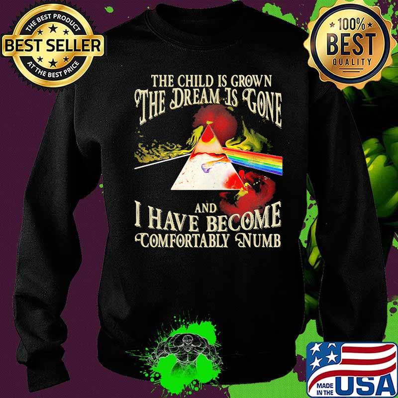 The Wall The The Child Is Grown The Dream Is Gone I Have Become Comfortably Numb Pink Floyd Shirt Sweater The Wall The The Child Is Grown The Dream Is Gone I Have Become Comfortably Numb Pink Floyd Shirt Sweater