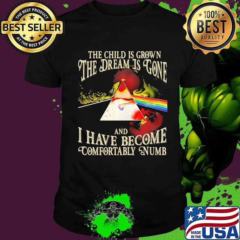 The Wall The The Child Is Grown The Dream Is Gone I Have Become Comfortably Numb Pink Floyd Shirt