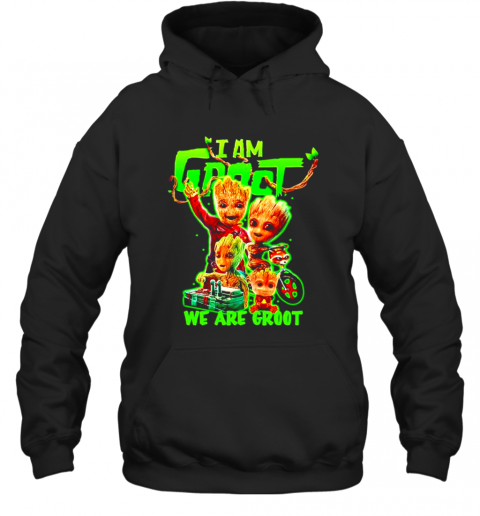 I-Am-Baby-Groot-We-Are-Groot-T-Shirt-Unisex-Hoodie.png