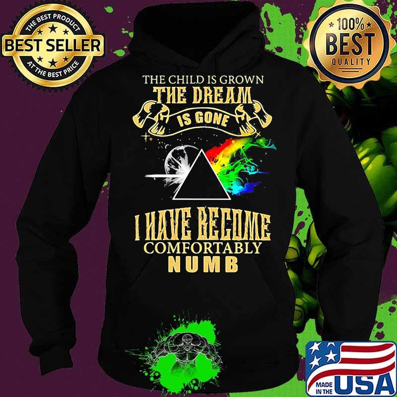 The Child Is Grown The Dream Is Gone I Have Become Comfortably Numb Moon Lgbt Pink Floyd Shirt Hoodie The Child Is Grown The Dream Is Gone I Have Become Comfortably Numb Moon Lgbt Pink Floyd Shirt Hoodie
