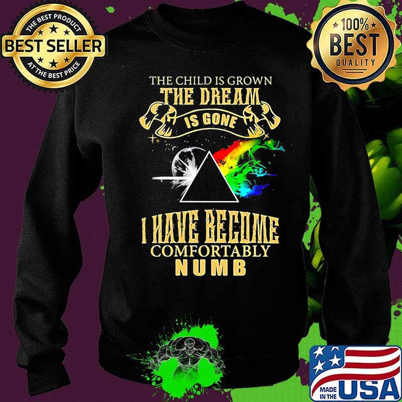The Child Is Grown The Dream Is Gone I Have Become Comfortably Numb Moon Lgbt Pink Floyd Shirt Sweater The Child Is Grown The Dream Is Gone I Have Become Comfortably Numb Moon Lgbt Pink Floyd Shirt Sweater