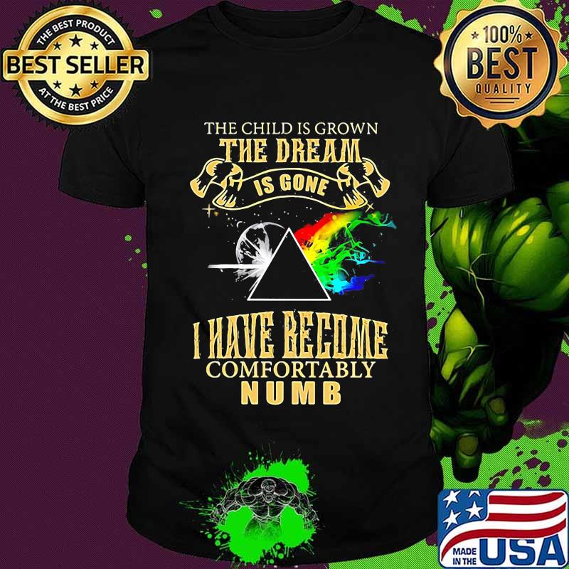 The Child Is Grown The Dream Is Gone I Have Become Comfortably Numb Moon Lgbt Pink Floyd Shirt