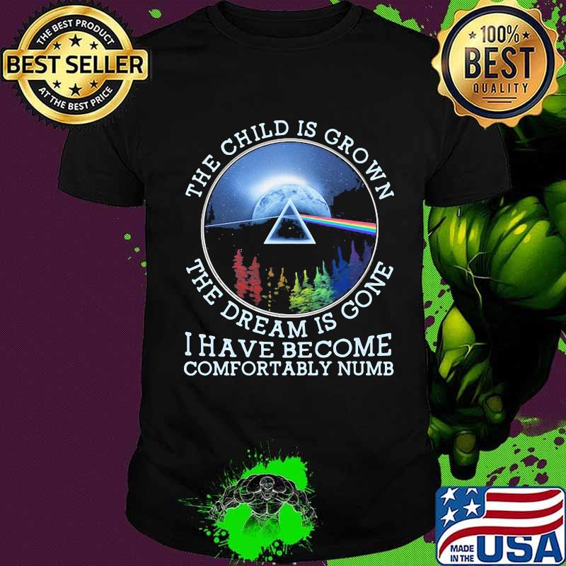 The Child Is Grown The Dream Is Gone I Have Become Comfortably Numb Pink Floyd Lgbt Shirt