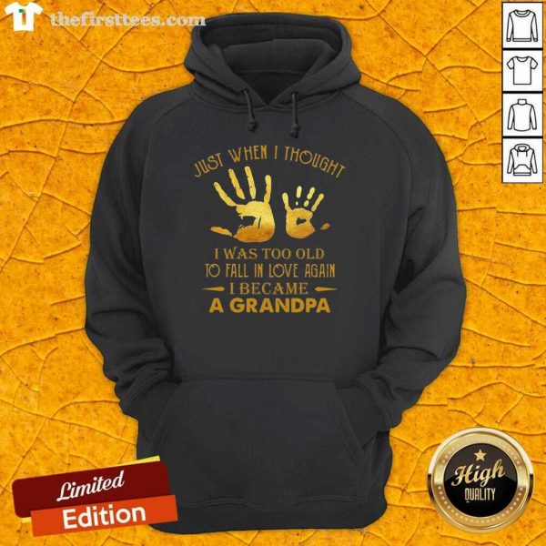 good-just-when-i-thought-i-was-too-old-to-fall-in-love-again-i-became-a-granhoodie-600x600-1.jpg