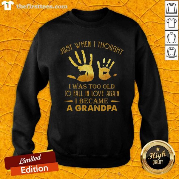 good-just-when-i-thought-i-was-too-old-to-fall-in-love-again-i-became-a-sweatshirt-600x600-1.jpg