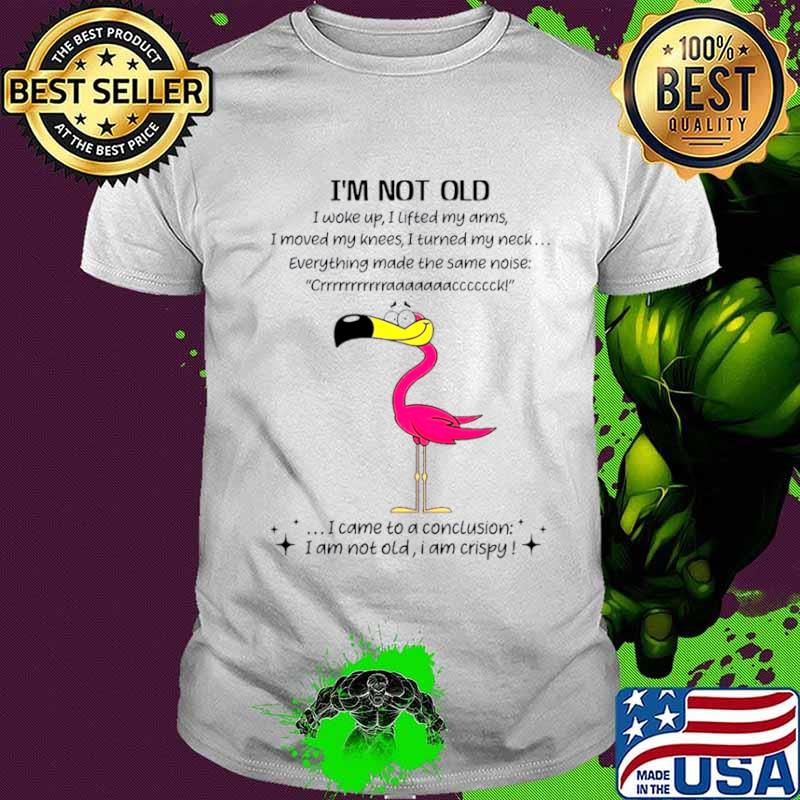 Flamingo Im not old I came to a conclusion shirt