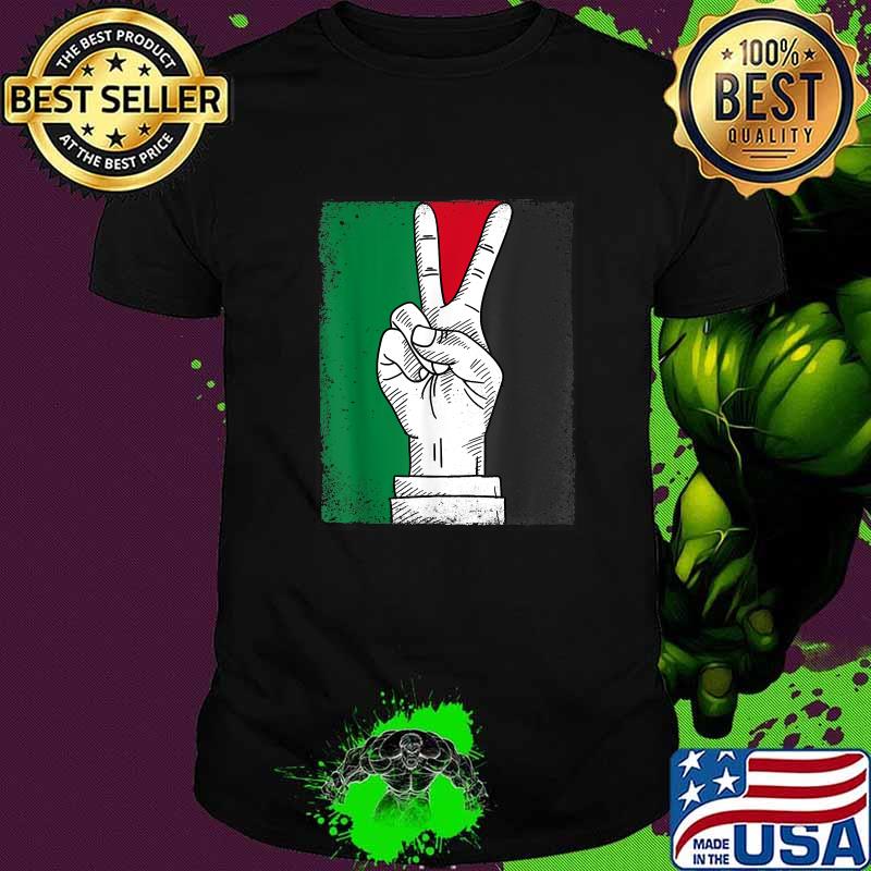 Free Palestine Gaza Palestinian Flag Stand With Falastin T-Shirt