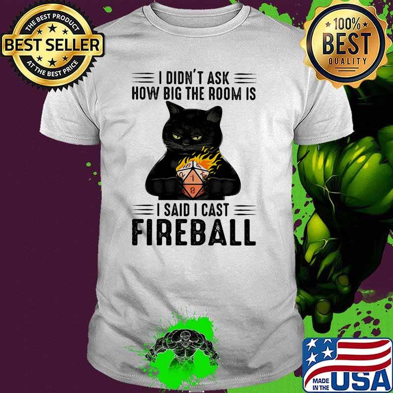 I didnt ask how big the room is i said i cast fireball cat shirt