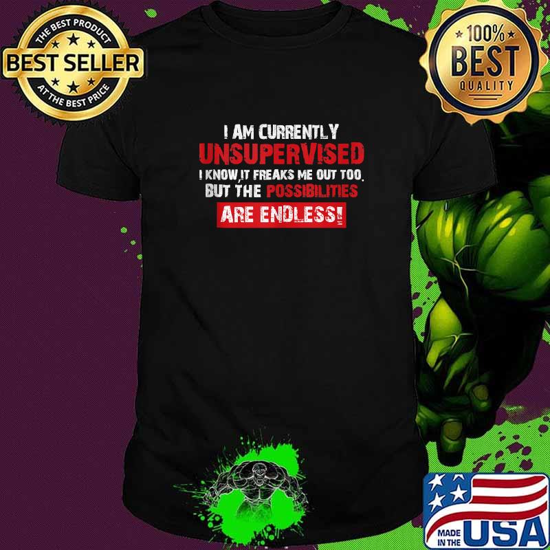 I Am Currently Unsupervised Are Endless T-Shirt