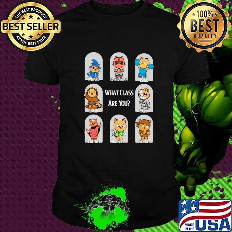 What Class Are You Wizard Barbarian Bard Shirt