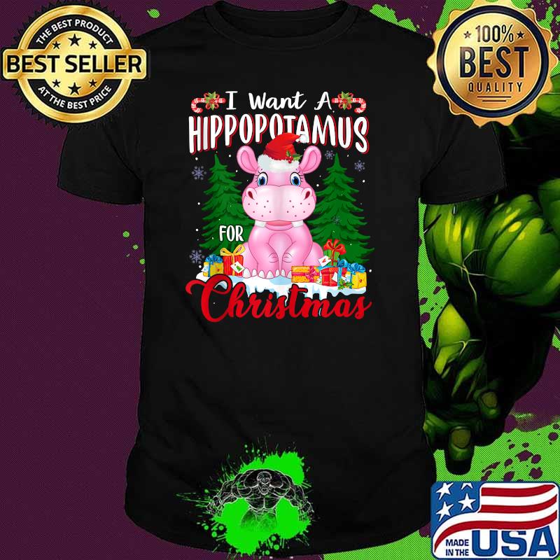 I Want A Hippopotamus For Christmas Santas hat T-Shirt