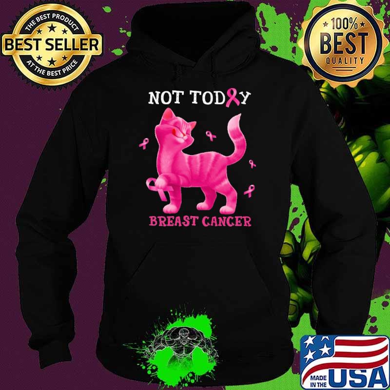Not today breast cancer cat pink ribbon s Hoodie Not today breast cancer cat pink ribbon s Hoodie
