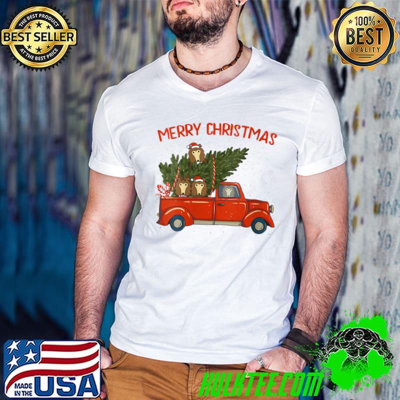 Awesome collie Xmas Vintage Red Pickup Retro Truck T-shirt