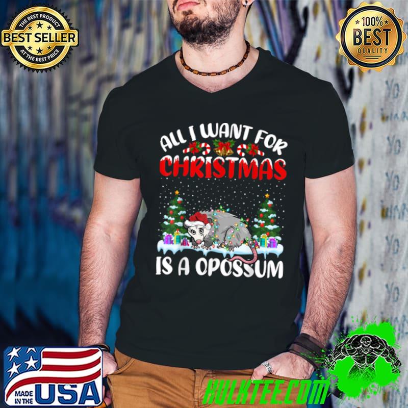 Awesome Funny Santa Hat All I Want For Christmas Is A Opossum T Shirt