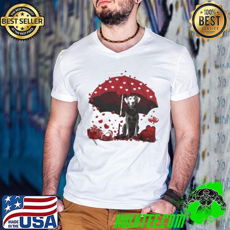 Top Loving Red Umbrella Silver Labrador Christmas Sweater Shirt