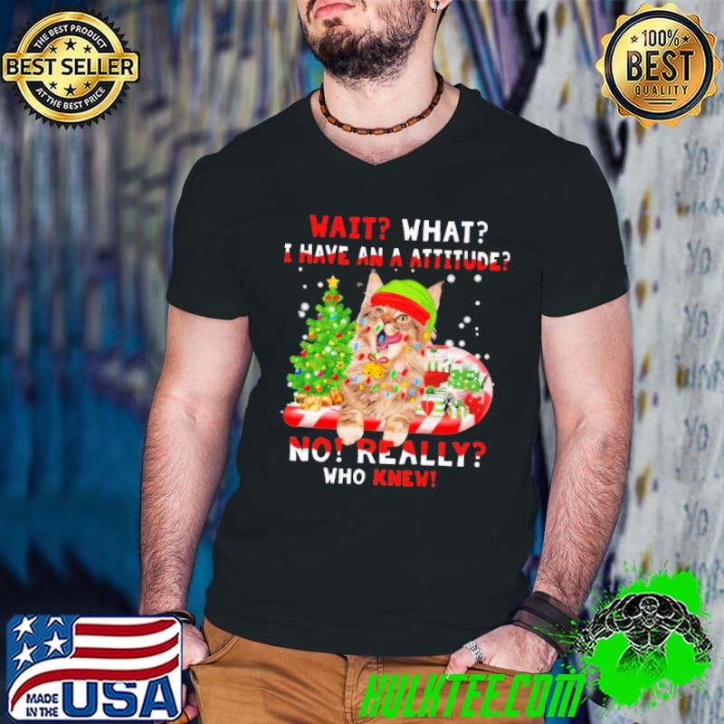 Wait What I Have An A Attitude No Really Who Knew Christmas Shirt