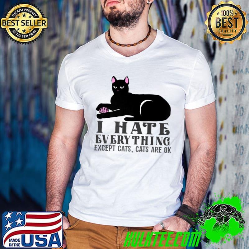 Pastel Goth Kawaii Punk I Hate Everything Except Cats Gifts Premium T-Shirt