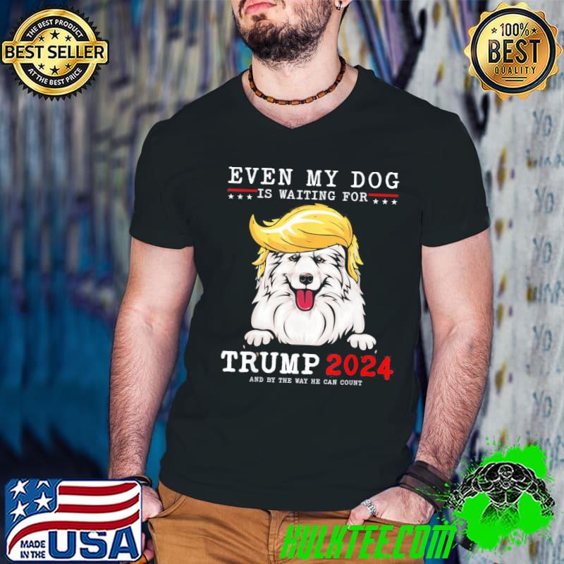 Samoyed dog even my dog is waiting for Trump 2024 classic shirt