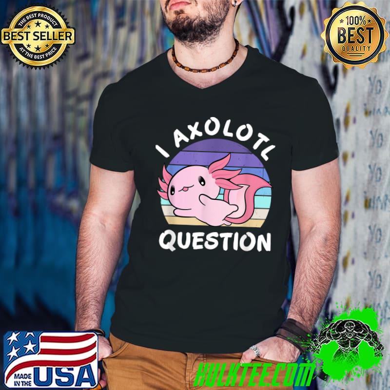 I Axolotl Questions Cute Axolotl Vintage Sunset T-Shirt