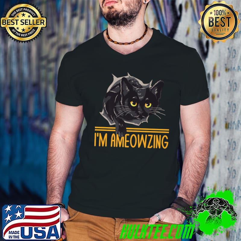 I'm Ameowzing Cat Lover Positivity Kitten Positive Quote T-Shirt