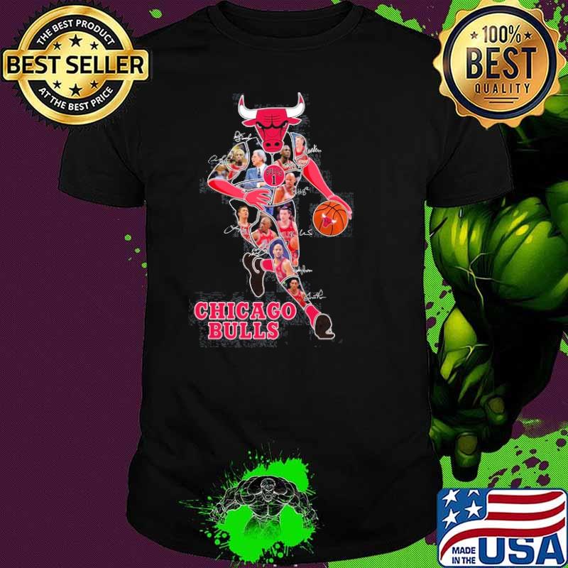Chicago Bulls signatures sport shirt