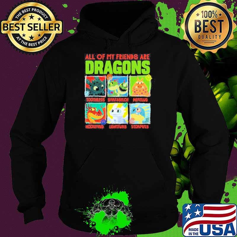 How To Train Your Dragon 3 Hidden World All of my friends are Dragon Friends s Hoodie How To Train Your Dragon 3 Hidden World All of my friends are Dragon Friends s Hoodie