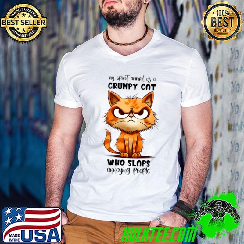 My Spirit Animals Is A Grumpy Cat Who Slaps Annoying People T-Shirt