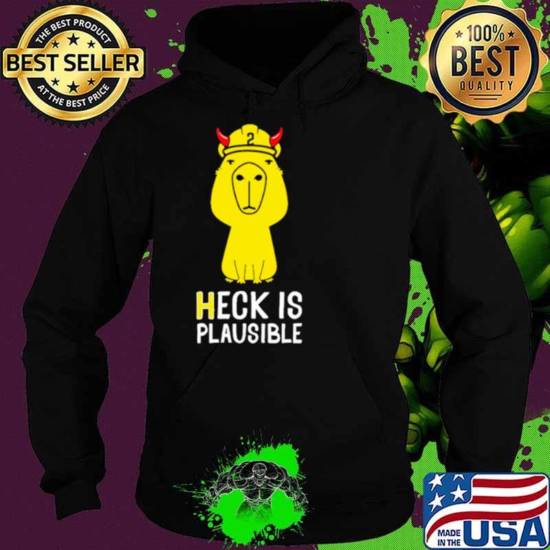 Heck is plausible 2023 s Hoodie Heck is plausible 2023 s Hoodie