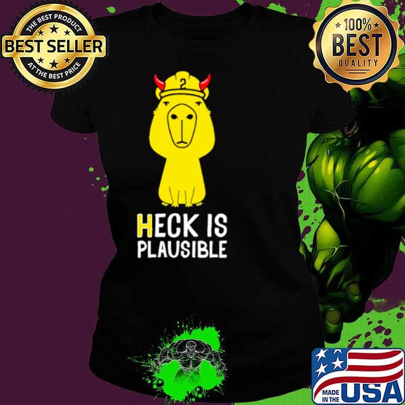 Heck is plausible 2023 shirt